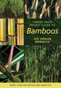 Paperback Timber Press Pocket Guide to Bamboos Book