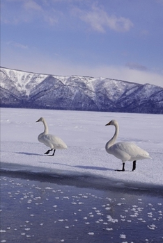 2020 Weekly Planner Winter Theme Frozen Geese 134 Pages: 2020 Planners Calendars Organizers Datebooks Appointment Books Agendas