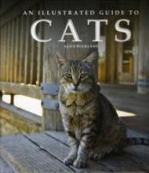 Hardcover Illustrated Guide to Cats Book