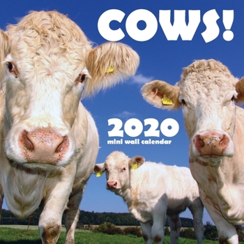 Paperback Cows! 2020 Mini Wall Calendar Book