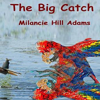 Paperback The Big Catch Book