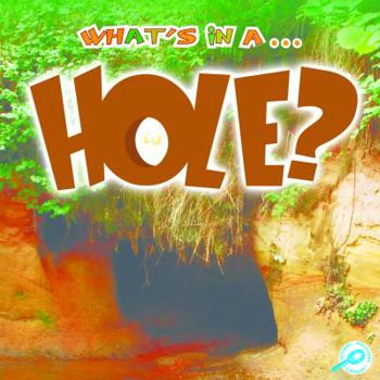 Paperback Hole (What's In A…) Book