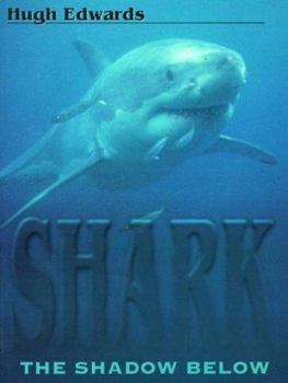 Paperback Shark: The Shadow Below Book