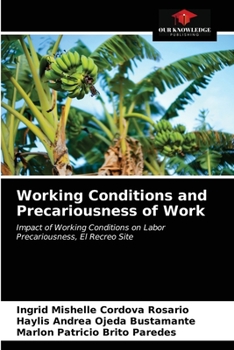 Paperback Working Conditions and Precariousness of Work Book