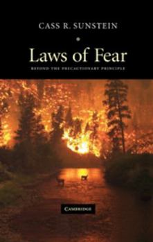 Electronics Laws of Fear: Beyond the Precautionary Principle Book