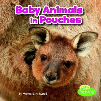 Paperback Baby Animals in Pouches Book