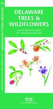 Paperback Delaware Trees & Wildflowers: An Introduction to Familiar Species Book