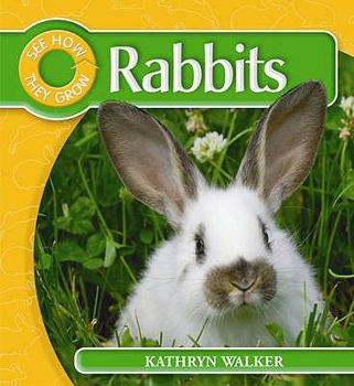 Hardcover Rabbit (See How Animals Grow) Book