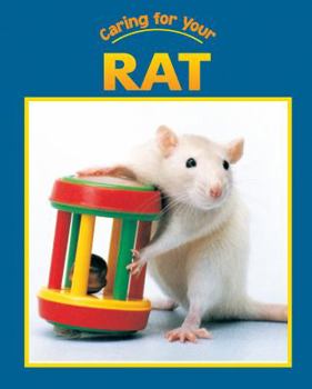 My Pet Rat - Book  of the Caring for Your Pet