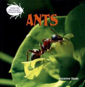 Library Binding Ants Book