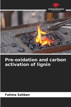 Paperback Pre-oxidation and carbon activation of lignin Book