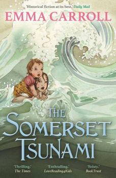 Paperback The Somerset Tsunami Book