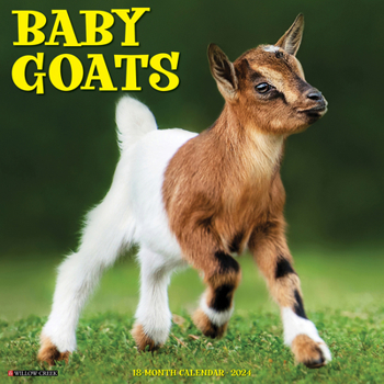 Calendar Baby Goats 2024 12 X 12 Wall Calendar Book