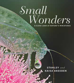 Hardcover Small Wonders: A Close Look at Nature's Miniatures Book