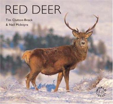 Paperback Red Deer Book