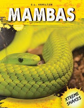 Mambas - Book  of the Xtreme Snakes