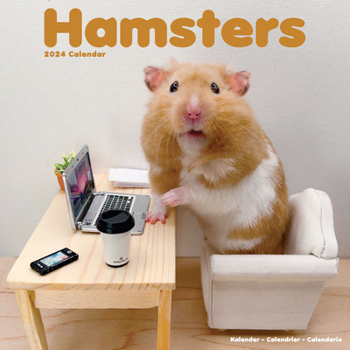 Calendar 2024 Hamsters Wall Calendar Book