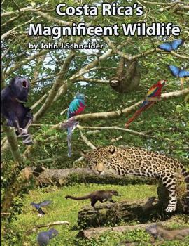 Paperback Costa Rica's Magnificent Wildlife Book