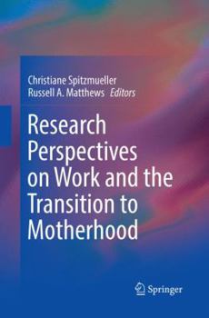 Paperback Research Perspectives on Work and the Transition to Motherhood Book