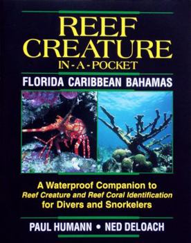 Pamphlet Reef Creature in-a-pocket Florida, Caribbean, Bahamas Book