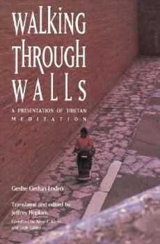 Paperback Walking Through Walls Book