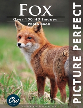 Paperback Fox: Picture Perfect Photo Book