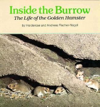 Paperback Inside the Burrow: The Life of the Golden Hamster Book