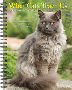 Home What Cats Teach Us 2026 6.5 X 8.5 Engagement Calendar Book