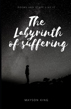 Paperback The Labyrinth of Suffering Book