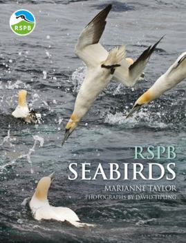 Hardcover RSPB Seabirds Book