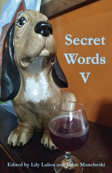 Paperback Secret Words Volume Five Book