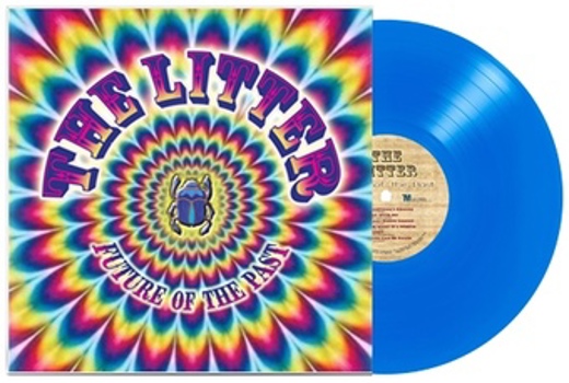 Vinyl Future of the Past Book