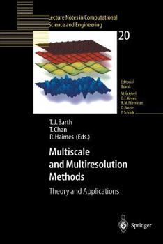 Paperback Multiscale and Multiresolution Methods: Theory and Applications Book