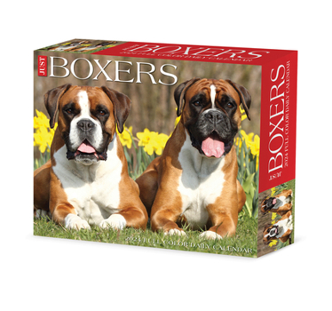 Product Bundle Boxers 2024 6.2 X 5.4 Box Calendar Book