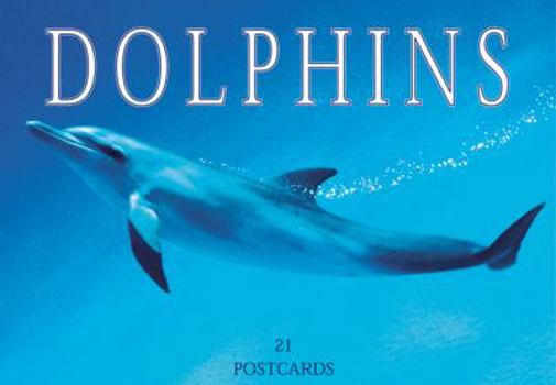 Card Book Dolphins Postcard Book