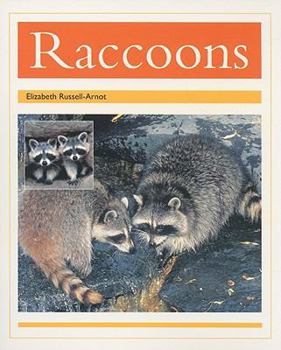 Paperback Racoons: Individual Student Edition Gold (Levels 21-22) Book