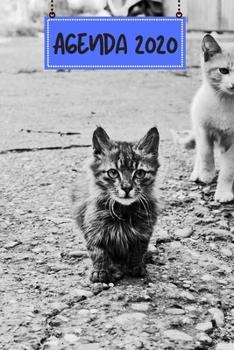 Agenda 2020: Hebdomadaire 1 Semaine par page Format A5 | Janvier 2020 à Décembre 2020 | Planificateur Organiseur Semainier avec Calendrier et Carnet ... Pour les Amoureux des Chats (French Edition)