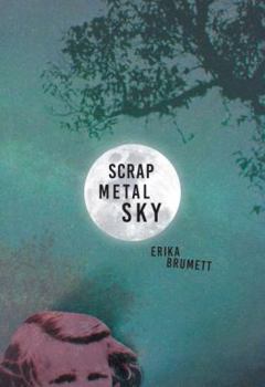 Paperback Scrap Metal Sky Book