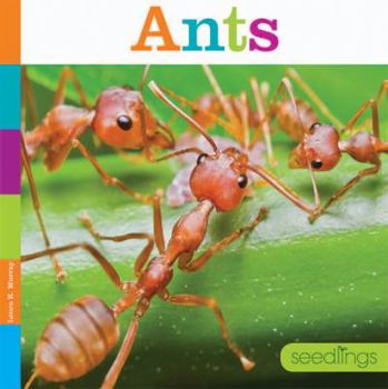 Ants - Book  of the Seedlings