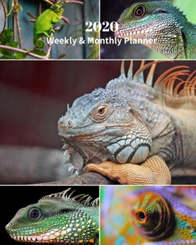 Paperback 2020 Weekly and Monthly Planner: Lizards Collage - Monthly Calendar with U.S./UK/ Canadian/Christian/Jewish/Muslim Holidays- Calendar in Review/Notes Book