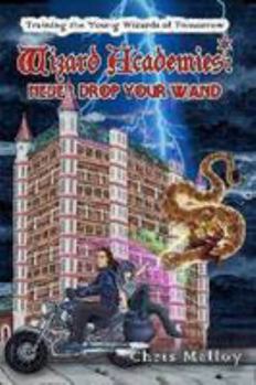 Paperback Wizard Academies - Never Drop Your Wand Book