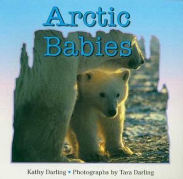 Paperback Arctic Babies Book