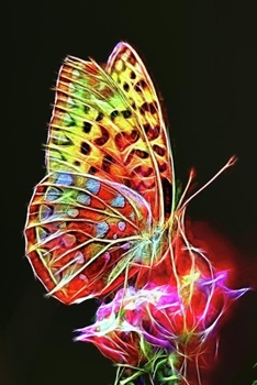 Notizbuch: Liniertes Notizbuch f�r Krankenschwestern mit Schmetterlings Soft Cover