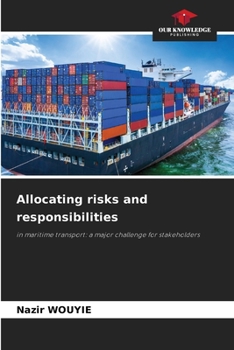 Paperback Allocating risks and responsibilities Book