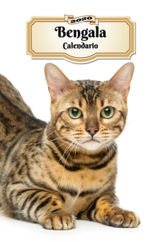 2020 Bengala Calendario: 107 Páginas | Tamaño A5 | Planificador Semanal | 12 Meses | 1 Semana en 2 Páginas | Agenda Semana Vista | Tapa Blanda | Gato (Spanish Edition)