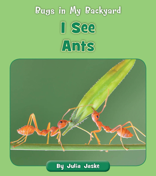 Paperback I See Ants Book