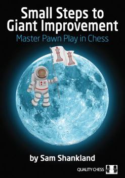 Paperback Small Steps to Giant Improvement Book