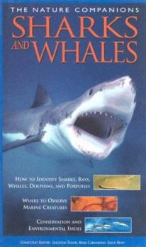 Hardcover Sharks and Whales (Nature Companions) Book