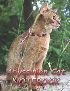 Paperback Abyssinian Cat NOTEBOOK: Notebooks and Journals 110 pages (8.5"x11") Book