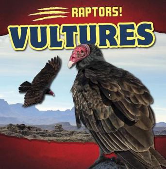 Paperback Vultures Book